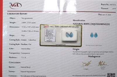 une photo d'un certificat sur lequel figure l'image d'un papillon
