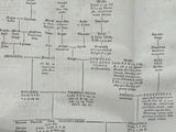 a paper with a diagram on it on a table