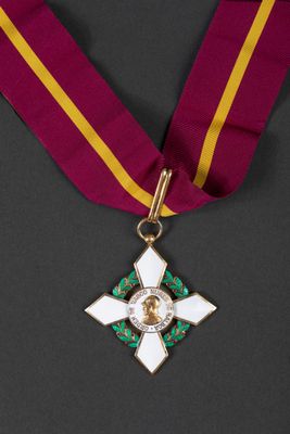 a close up of a medal with a ribbon around it