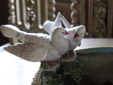 two birds that are sitting on top of a bowl
