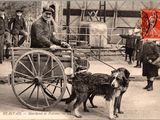 une vieille photo représentant un homme et son chien tirant une charrette