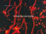 La migration des brasses - Affiche de film au format 11 x 17 - style français A