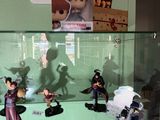 many figurines on display in a glass case