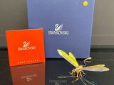Libellule Swaroshi avec boîte et carte