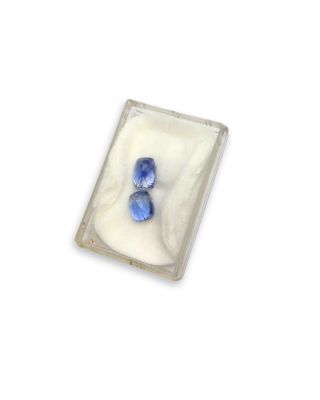 a small glass plate with two blue flowers in it