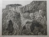 an image of a black and white drawing of rocks and trees