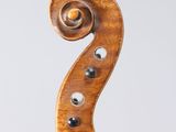 a close up of the back of a violin