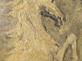 a painting of a horse that is standing on its hind legs