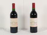 deux bouteilles de vin rouge posées l'une à côté de l'autre sur une surface blanche