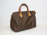 an image of a louis vuitton handbag on a white background
