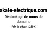 Photo 1/1 du lot