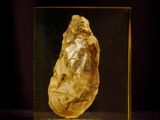 a gold piece in a glass box on a black background