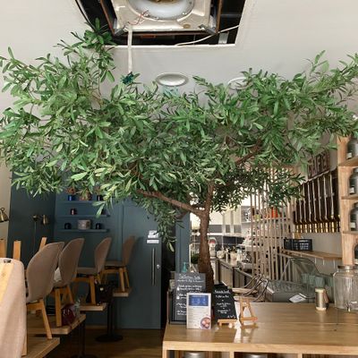 * L.J. CHALON DE THE : 1 arbre artificiel "olivier" en résin…