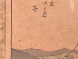 a picture of a man that is flying a kite in the sky