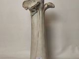 a vase that has a flower in it on a table