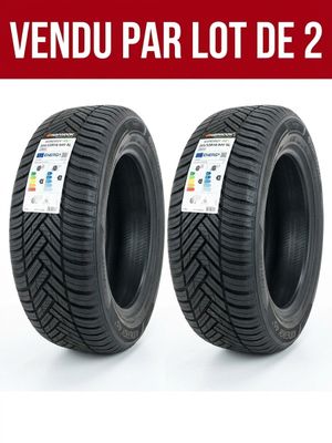 une paire de pneus sur fond blanc, avec la mention « vendu par lot de 2 »