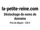 Photo 1/1 du lot