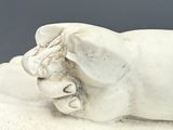 a statue of a dog laying down on a white surface