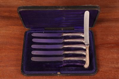 five knives in a purple case on a wooden table