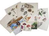 de nombreuses cartes représentant des animaux sur un fond blanc