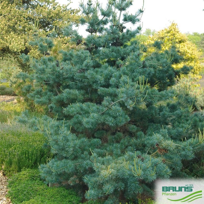 Destockage & Invendus