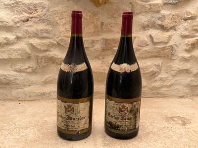 2 MG Corton-Renardes grand cru. - Photo 1