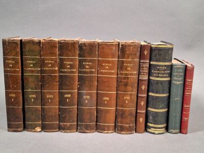 plusieurs vieux livres sont alignés sur une surface grise