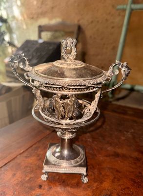 une coupe en argent posée sur une table en bois, avec une plante en arrière-plan