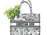 un sac noir et blanc sur lequel est posée une plante