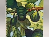 a close up of a book with a painting of figs on it