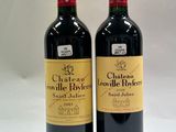 deux bouteilles de vin rouge posées l'une à côté de l'autre sur une surface blanche