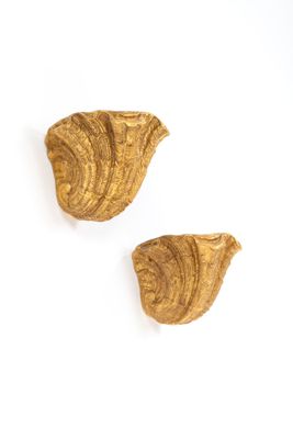 deux morceaux de bois sont posés sur une surface blanche