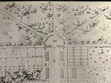 un vieux dessin représentant le plan d'un parc avec de nombreux arbres