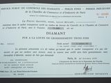 certificate issued by the french government for the use of a toilet