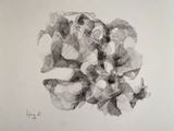 pencil drawing of a bunch of flowers on a white paper