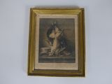 photo encadrée représentant un chien et un chat assis sur une table
