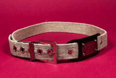 a close up of a belt on a red surface