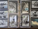 a book with pictures of animals and birds on it