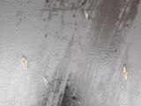 a shadow of a person standing on a wet surface