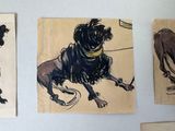 three drawings of dogs hanging on the wall