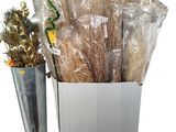 a plant in a vase next to a container of dried plants