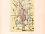 dessin représentant une femme dans une cage, avec des oiseaux et une cage à oiseaux en arrière-plan
