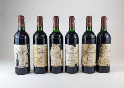 six bouteilles de vin sont alignées sur une surface blanche