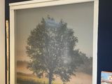une photo d'un arbre dans un coin d'une pièce