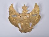 an image of a gold eagle with a crown on it