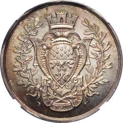 une image représentant une pièce d'argent sur laquelle figure un blason