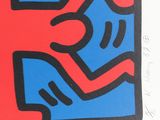 a picture of a red and blue painting on a white background