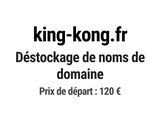 Photo 1/1 du lot