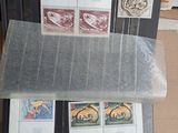 beaucoup de timbres posés sur une table recouverte de nombreux papiers