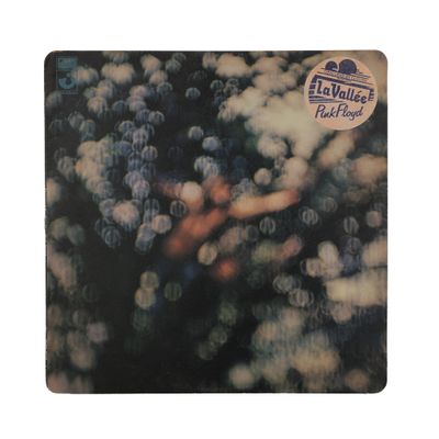 an image of a picture of a bunch of grapes in a field
